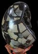 Septarian Dragon Egg Geode - Black Crystals #68110-2
